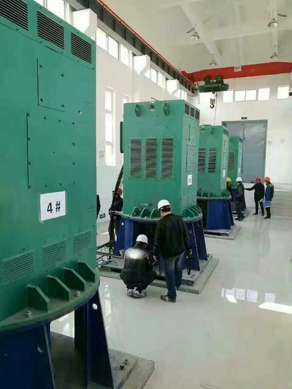 西华某污水处理厂使用我厂的立式高压电机安装现场